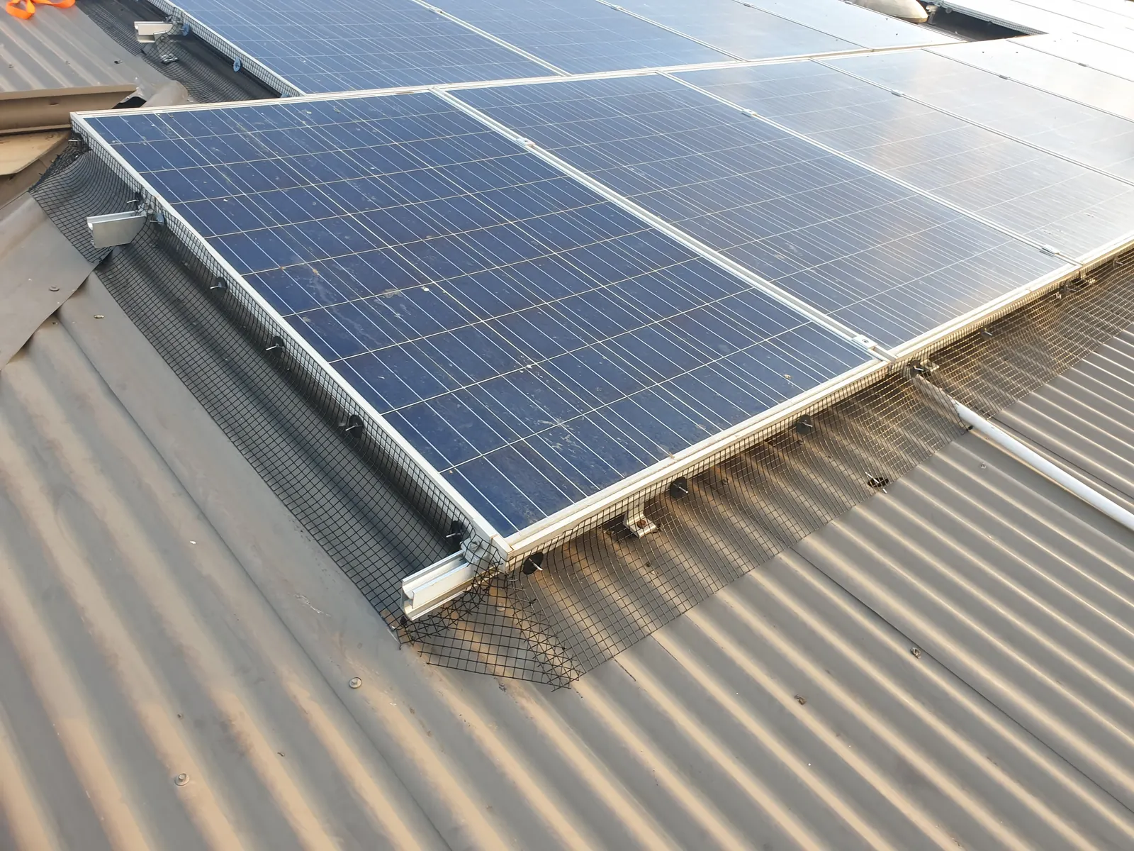 Solar panels on a tin roof with bird proofing mesh installed along the edges